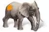 Afrikanischer Elefantenbulle tiptoi®;tiptoi® Spielfiguren - Ravensburger