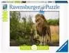 Re dei leoni Ravensburger Puzzle  1000 pz - Foto & Paesaggi Puzzle;Puzzle da Adulti - Ravensburger