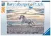 Puzzle, Cavallo in Spiaggia, Puzzle 500 Pezzi Puzzle;Puzzle da Adulti - Ravensburger