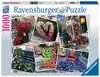 NYC Flower Flash Puzzles;Adult Puzzles - Ravensburger
