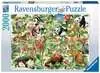 Puzzle 2000 p - Jungle Puzzle;Puzzle adulte - Ravensburger