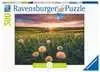 Pusteblumen im Sonnenuntergang Puzzle;Erwachsenenpuzzle - Ravensburger