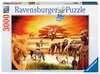 Puzzle 3000 p - La fierté du Massaï Puzzle;Puzzle adulte - Ravensburger