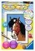 Paardenblik Hobby;Schilderen op nummer - Ravensburger