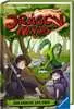 Dragon Ninjas, Band 4: Der Drache der Erde Kinderbücher;Kinderliteratur - Ravensburger