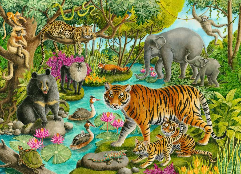 Animals of India | Children's Puzzles | Jigsaw Puzzles | Products | Animals  of India