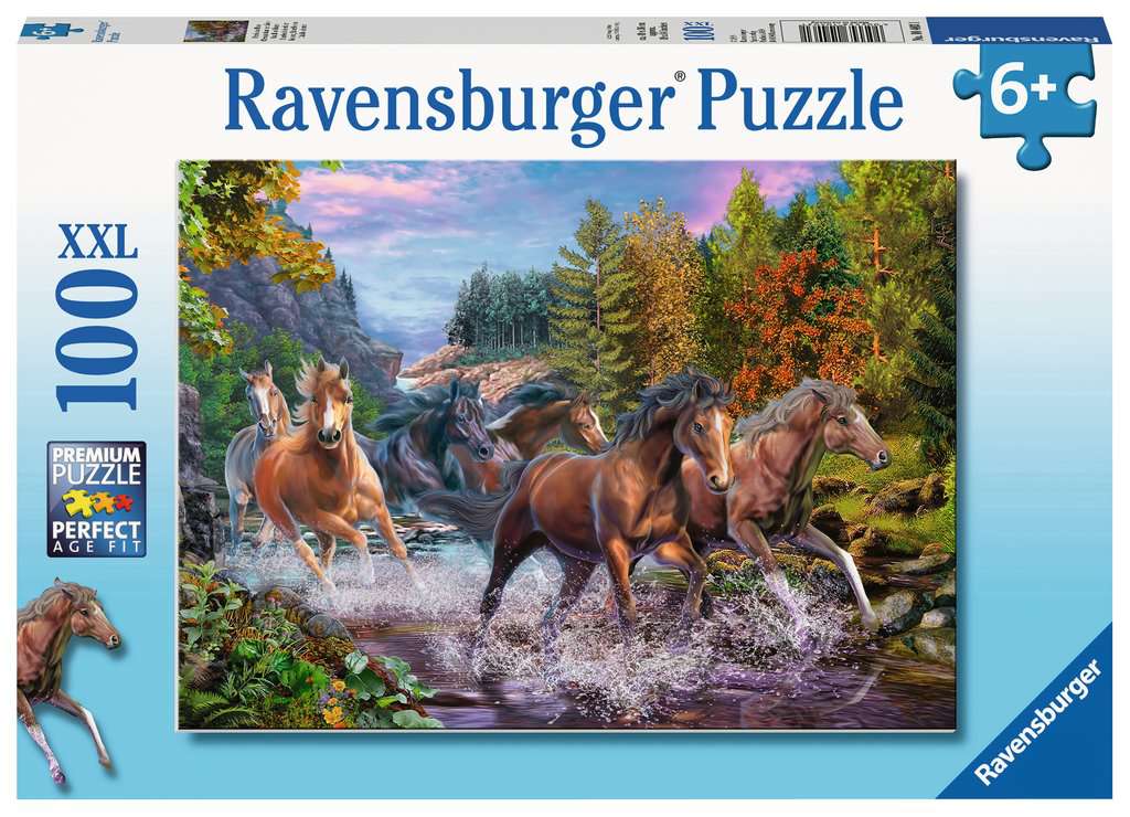 Color : A, Size : 6000 Pieces Nuremberg Stagecoach Horse Puzzle 500-6000 Pieces of Adult Children's Toy Canyon Game Gift Puzzle 0519 