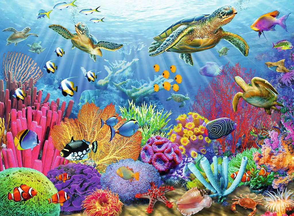 Tropical Waters | 🧩 Jigsaw Puzzle | Ravensburger