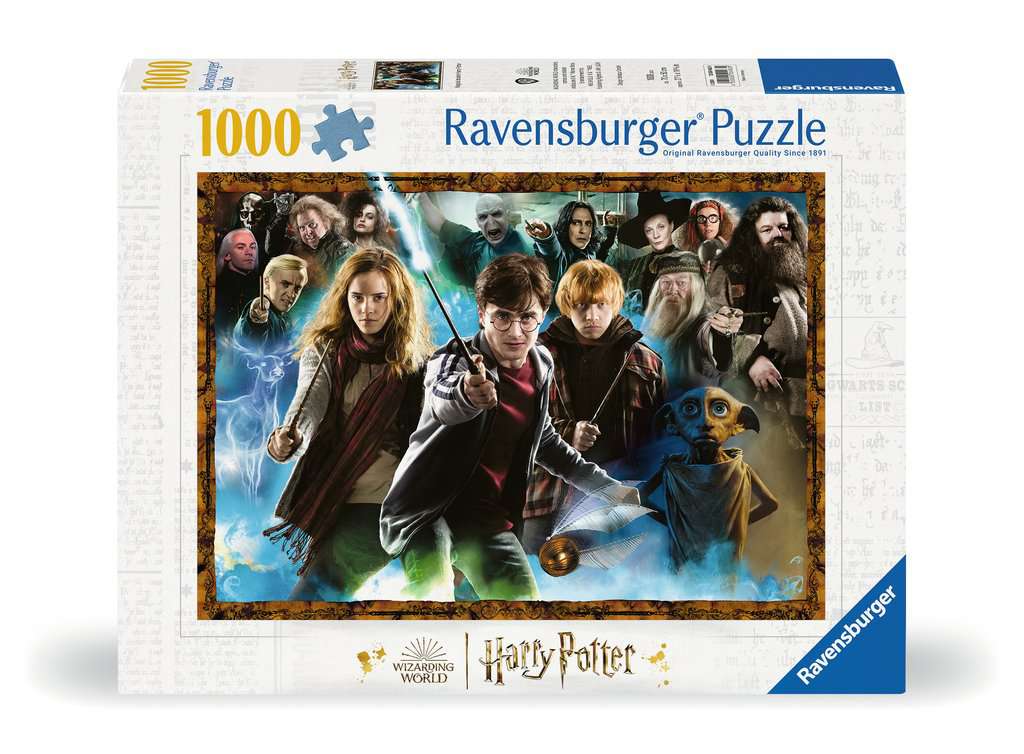 Der Zauberschüler Harry Potter