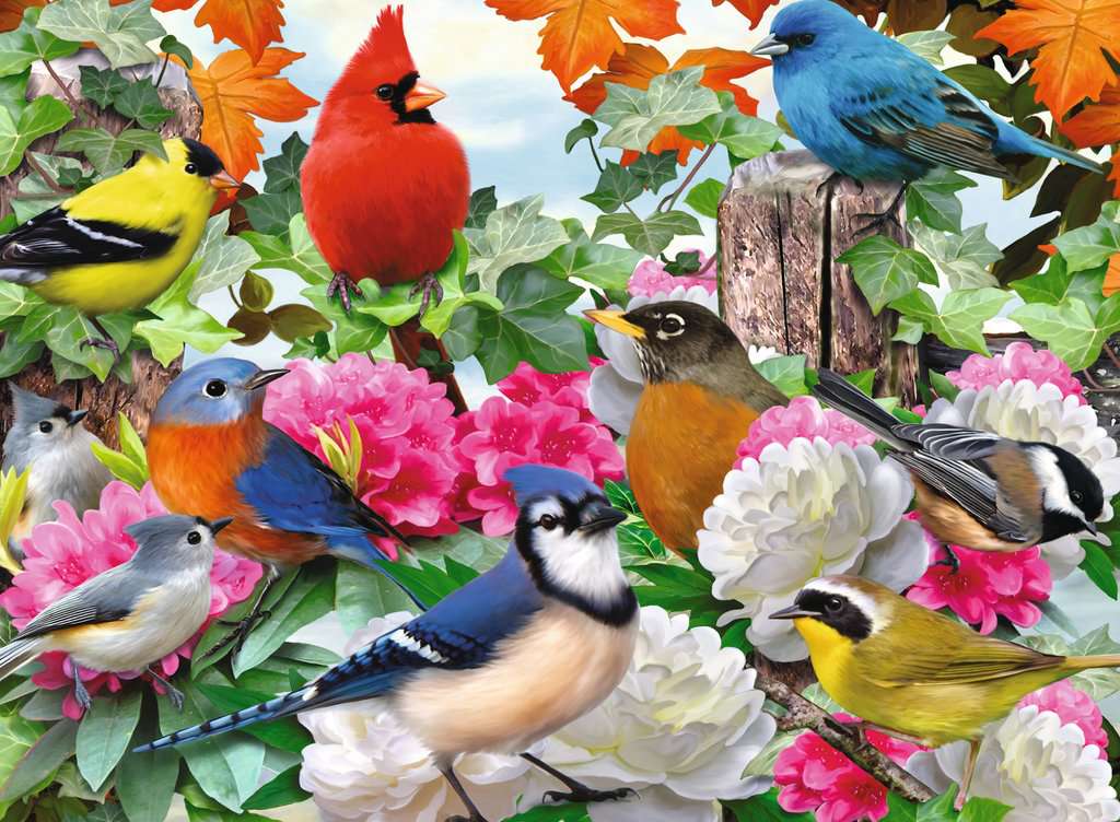 Garden Birds 1000 Piece Jigsaw Puzzle by Ravensburger 