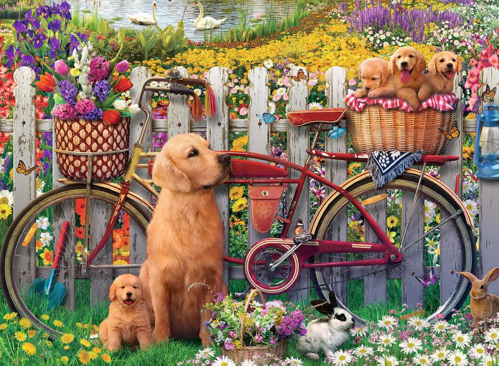Cute Dogs | Adult Puzzles | Jigsaw Puzzles | Products | ca_en | Cute Dogs