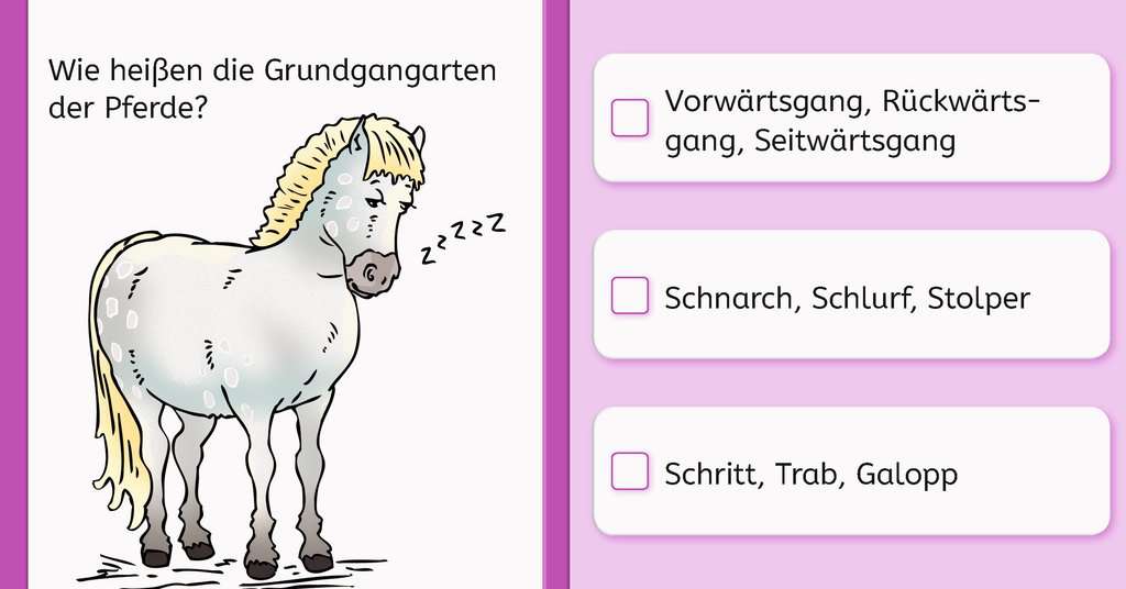 Das Lustige Pferde Quiz Lernbucher Und Ratselbucher Kinderbucher Produkte Das Lustige Pferde Quiz