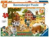 Puzzle, 44 Gatti, Puzzle 24 Pezzi Giant Pavimento, Età Raccomandata 3+ Puzzle;Puzzle per Bambini - Ravensburger