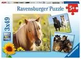 Loving Horses 3x49p Puslespil;Puslespil for børn - Ravensburger