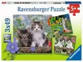 Puzzle dla dzieci 2D: Kotki 3x49 elementów Puzzle;Puzzle dla dzieci - Ravensburger