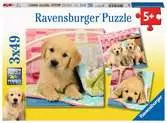 SŁODKIE SZCZENIAKI 3X49 EL Puzzle;Puzzle dla dzieci - Ravensburger