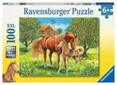 Koně na pastvině 100 dílků 2D Puzzle;Dětské puzzle - Ravensburger