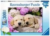 Puzzle 300 p XXL - Mignons chiots dans la corbeille Puzzle;Puzzle enfant - Ravensburger