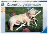 Golden Retriever Puzzles;Puzzle Adultos - Ravensburger