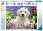 Puzzle 500 p - Doux Golden Retriever Puzzle;Puzzle adulte - Ravensburger