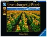 Campo de girasoles  Puzzle 1000 Fotos&Paisajes Puzzles;Puzzle Adultos - Ravensburger