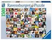 99 Cats 2D Puzzle;Puzzle pro dospělé - Ravensburger