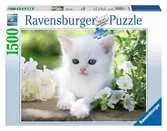 Gattino Bianco, Puzzle 1500 Pezzi, Puzzle per Adulti Puzzle;Puzzle da Adulti - Ravensburger