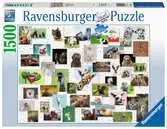 Vtipná zvířata 1500 dílků 2D Puzzle;Puzzle pro dospělé - Ravensburger