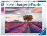 Champs de lavande Puzzels;Puzzles adultes - Ravensburger