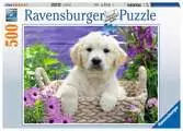 17197 2  ゴールデンレトリバーの子犬 500ピース パズル;大人向けパズル - Ravensburger