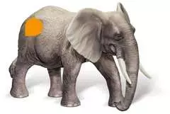 Afrikanischer Elefantenbulle - Bild 1 - Klicken zum Vergößern