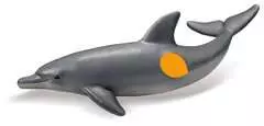 Delfin - Bild 1 - Klicken zum Vergößern