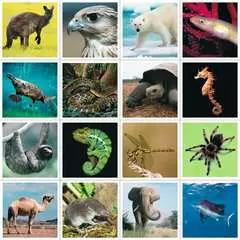 tiptoi® memory Rekorde im Tierreich - Bild 5 - Klicken zum Vergößern
