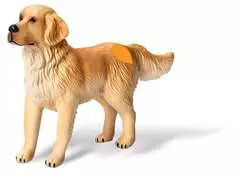 Tier-Set Golden Retriever - Bild 5 - Klicken zum Vergößern