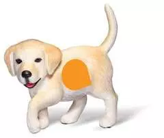 Tier-Set Golden Retriever - Bild 6 - Klicken zum Vergößern