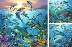 Dieren in de oceaan - image 2 - Click to Zoom