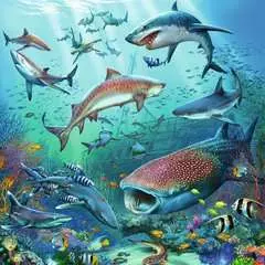 Tierwelt des Ozeans - Bild 3 - Klicken zum Vergößern