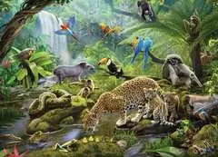Rainforest Animals - image 2 - Click to Zoom