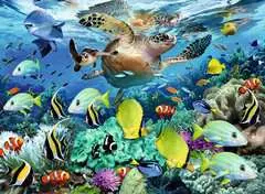 Underwater Paradise - image 2 - Click to Zoom