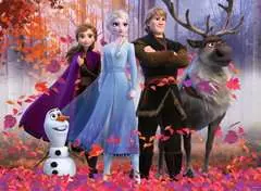Disney Frozen De magie van het bos - image 2 - Click to Zoom