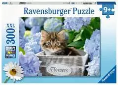Puzzle 300 p XXL - Petit chaton - Image 1 - Cliquer pour agrandir