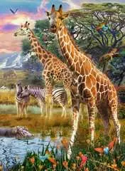 Giraffes in Africa        150p - bilde 2 - Klikk for å zoome