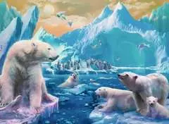 Im Reich der Eisbären - Bild 2 - Klicken zum Vergößern
