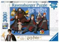 Harry Potter en Zweinstein - image 1 - Click to Zoom