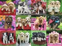 Puppy Pals - image 2 - Click to Zoom