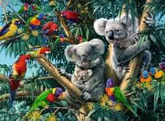 Koalas in a Tree - image 2 - Click to Zoom