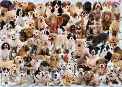 Koláž se psy 1000 dílků - obrázek 3 - Klikněte pro zvětšení
