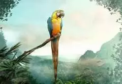 Papagei - Bild 2 - Klicken zum Vergößern
