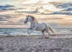 Puzzle, Cavallo in Spiaggia, Puzzle 500 Pezzi - immagine 2 - Clicca per ingrandire