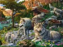 Wolfsrudel im Frühlingserwachen - Bild 2 - Klicken zum Vergößern
